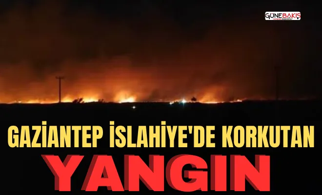 Gaziantep İslahiye'de korkutan yangın