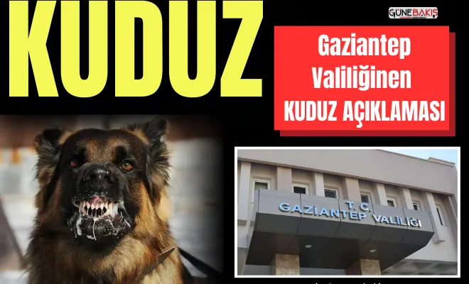Gaziantep’te Valiliğinden kuduz hayvan nakli açıklaması!