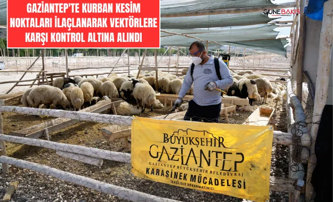Gaziantep'te kurban kesim noktaları ilaçlanarak vektörlere karşı kontrol altına alındı