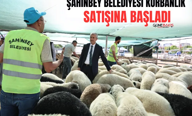 Şahinbey Belediyesi kurbanlık satışına başladı
