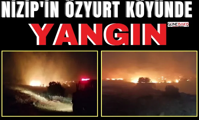 Nizip'in Özyurt köyünde yangın