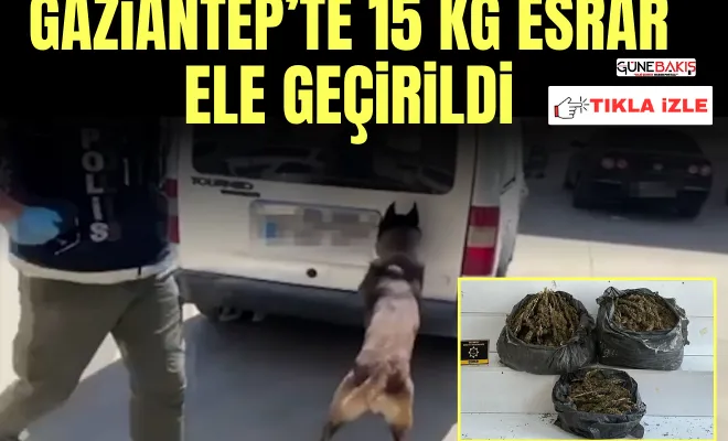 Gaziantep’te 15 kg esrar ele geçirildi