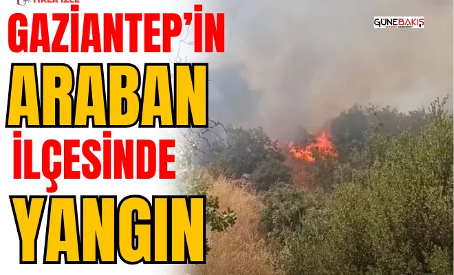 Gaziantep’in Araban İlçesinde yangın 