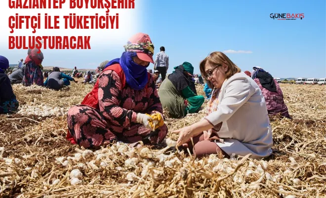 Gaziantep Büyükşehir çiftçi ile tüketiciyi buluşturacak