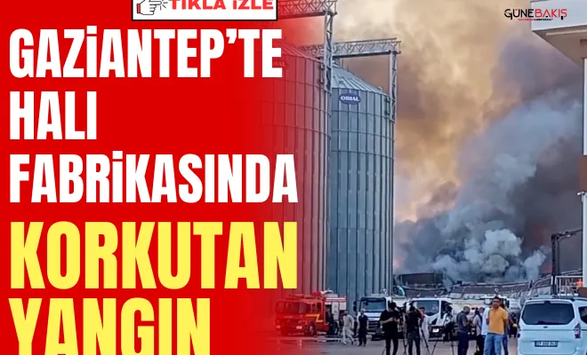 Halı fabrikasında korkutan yangın