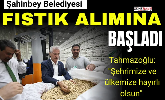 Şahinbey Belediyesi fıstık alımına başladı
