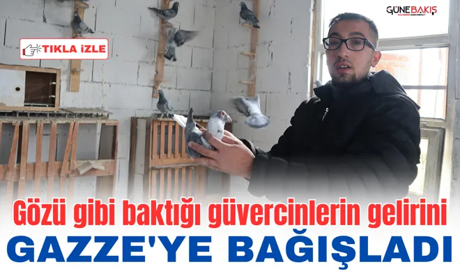 Gözü gibi baktığı güvercinlerin gelirini Gazze'ye bağışladı