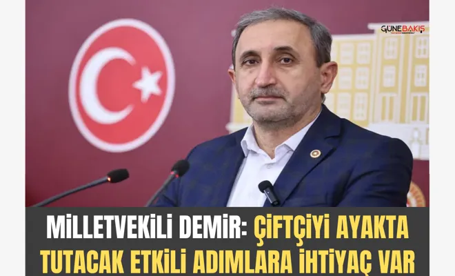 Milletvekili Demir: Çiftçiyi ayakta tutacak etkili adımlara ihtiyaç var