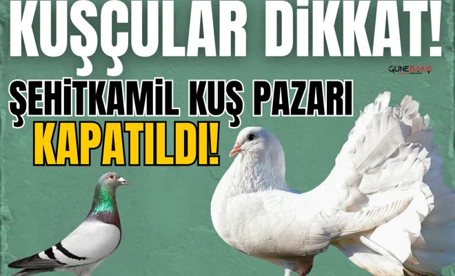 Kuşçular Dikkat!  Şehitkamil kuş pazarı kapatıldı!