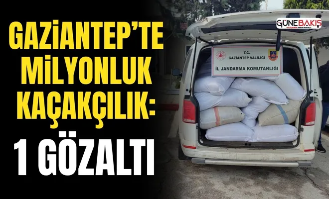 Gaziantep’te milyonluk kaçakçılık: 1 gözaltı