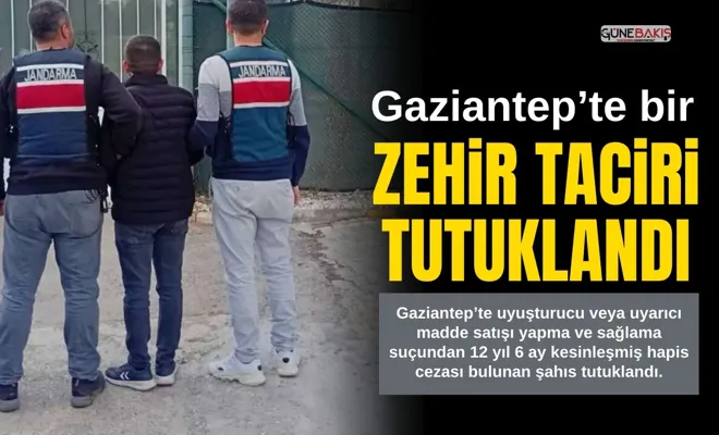 Zehir taciri tutuklandı