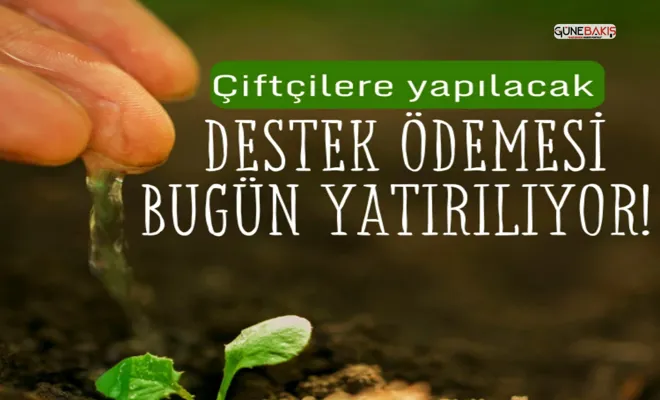 Çiftçilere yapılacak destek ödemesi bugün yatırılıyor!