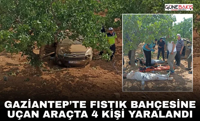 Gaziantep’te fıstık bahçesine uçan araçta 4 kişi yaralandı