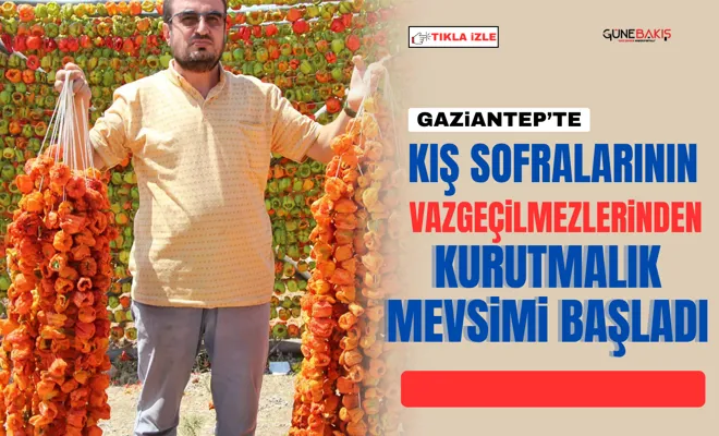 Gaziantep'te kış sofralarının vazgeçilmezlerinden kurutmalık mevsimi başladı