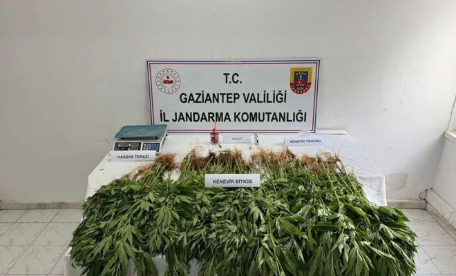 Gaziantep’te uyuşturucu operasyonu: 14 gözaltı, 1 tutuklama