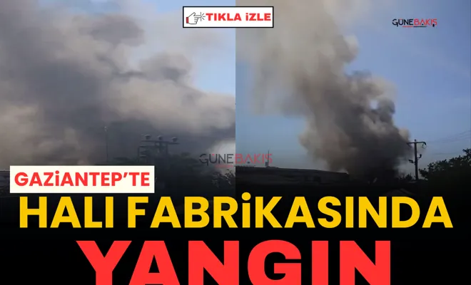 Gaziantep’te halı fabrikasında yangın