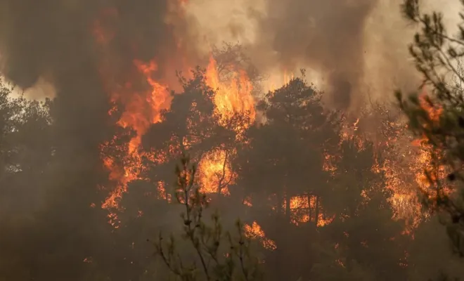 Orman Yangınlarında Bilanço Belli Oldu