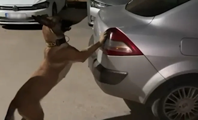 Zehir Tacirlerine Geçit Yok: 5 Kilo 400 Gram Skunk Ele Geçirildi