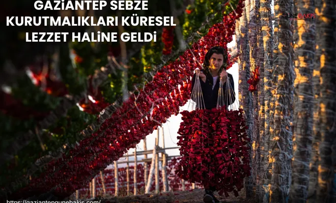 Gaziantep sebze kurutmalıkları küresel lezzet haline geldi
