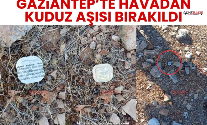 Gaziantep’te havadan kuduz aşısı bırakıldı
