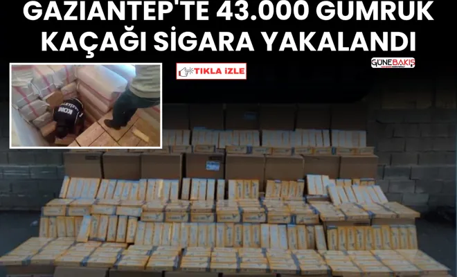 Gaziantep'te 43.000 gümrük kaçağı sigara yakalandı