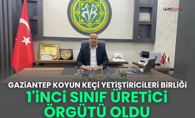 Gaziantep Koyun Keçi Yetiştiricileri Birliği 1'İnci sınıf üretici örgütü oldu
