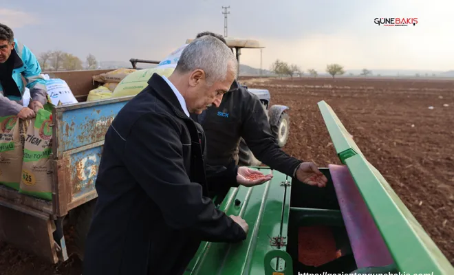 Başkan Tahmazoğlu dağıttığı tohumları çiftçilerle ekti