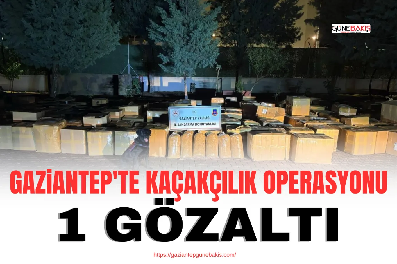 Gaziantep Büyükşehir, 8. ve 12. sınıflara yönelik deneme sınavlarına devam ediyor