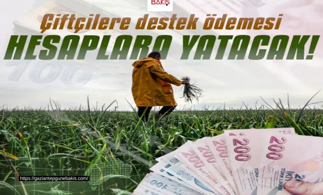 Tarımsal destek ödemeleri hesaba yatırılacak!