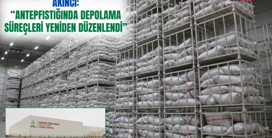 Dijital usta’lar sahaya iniyor