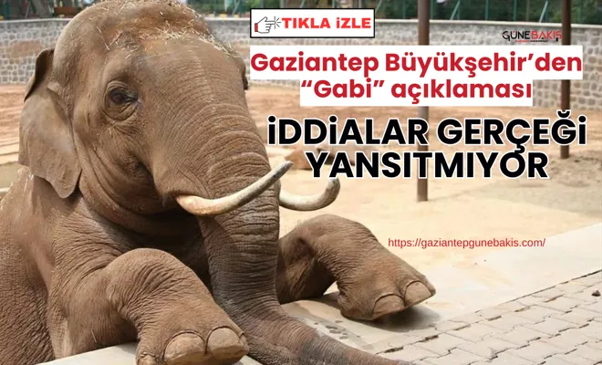 Gaziantep Büyükşehir’den “Gabi” açıklaması: İddialar gerçeği yansıtmıyor