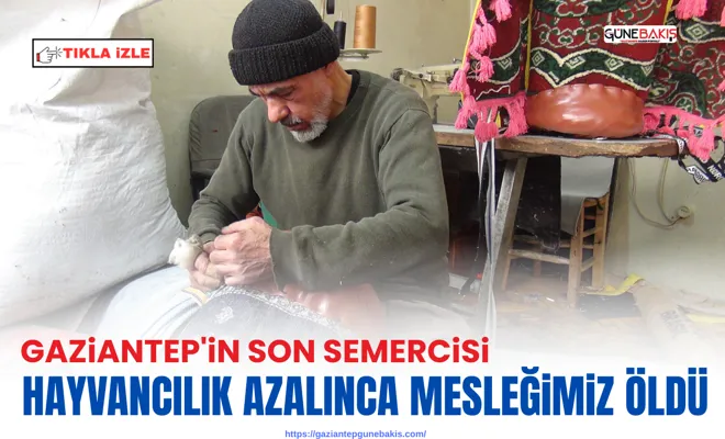 Gaziantep'in son semercisi: Hayvancılık azalınca mesleğimiz öldü