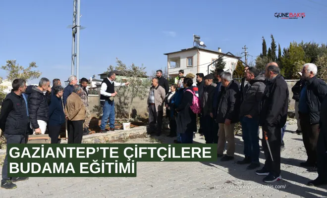 Gaziantep’te çiftçilere budama eğitimi