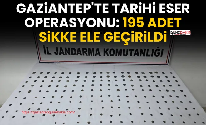 Gaziantep'te tarihi eser operasyonu: 195 adet sikke ele geçirildi