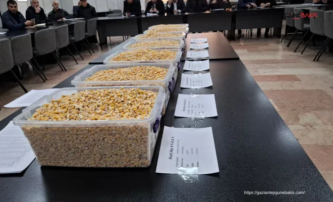 TİGEM’in 13,5 bin tonluk mısır satışı GTB’de gerçekleştirildi