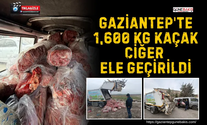 Gaziantep'te 1,600 kg  kaçak ciğer ele geçirildi