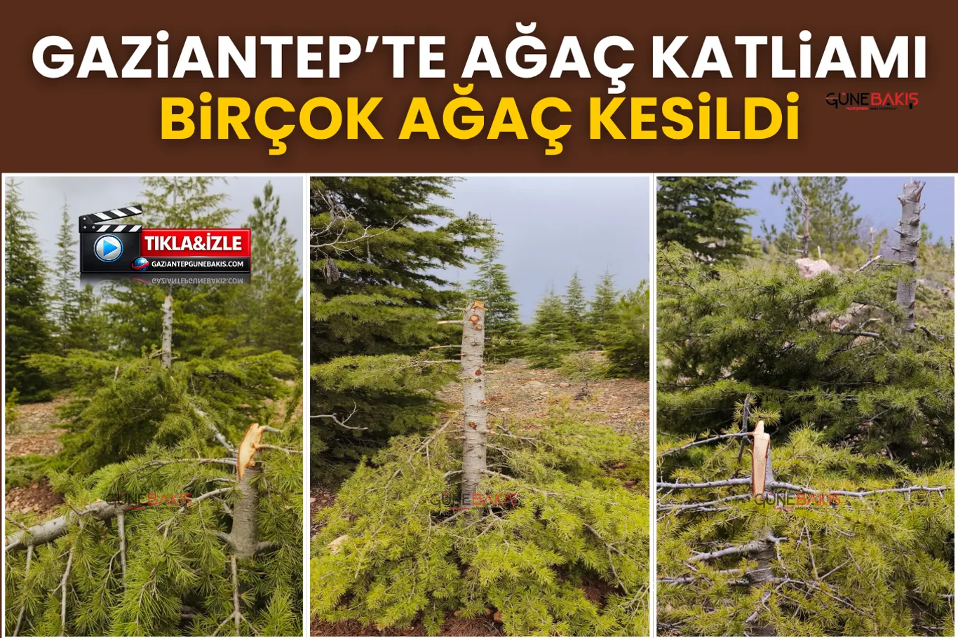 Şahinbey’de Mukaddes Emanetler Sergisi kapılarını açtı