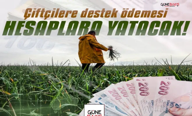 Çiftçilerin dikkatine: Hesaplara aktarılıyor!
