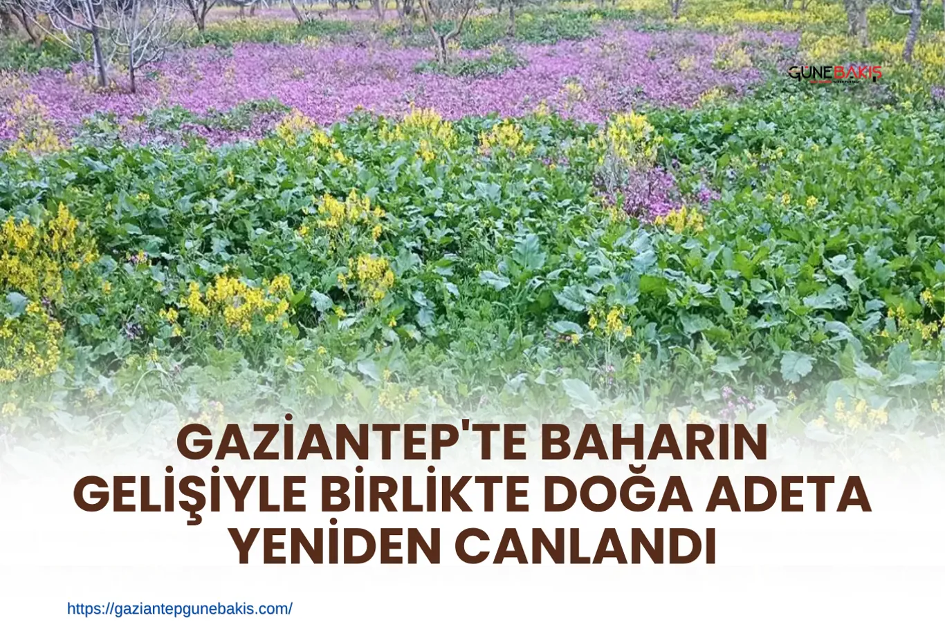 Kahramanmaraş’ta okulda silahlı saldırı: Ölü ve yaralılar var