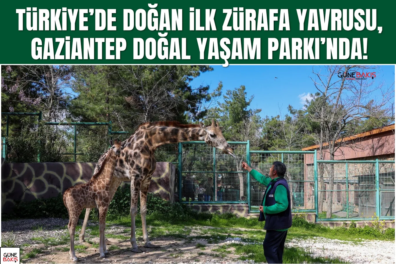 Hayırsever desteğiyle Gaziantep’e yeni cami için imzalar atıldı