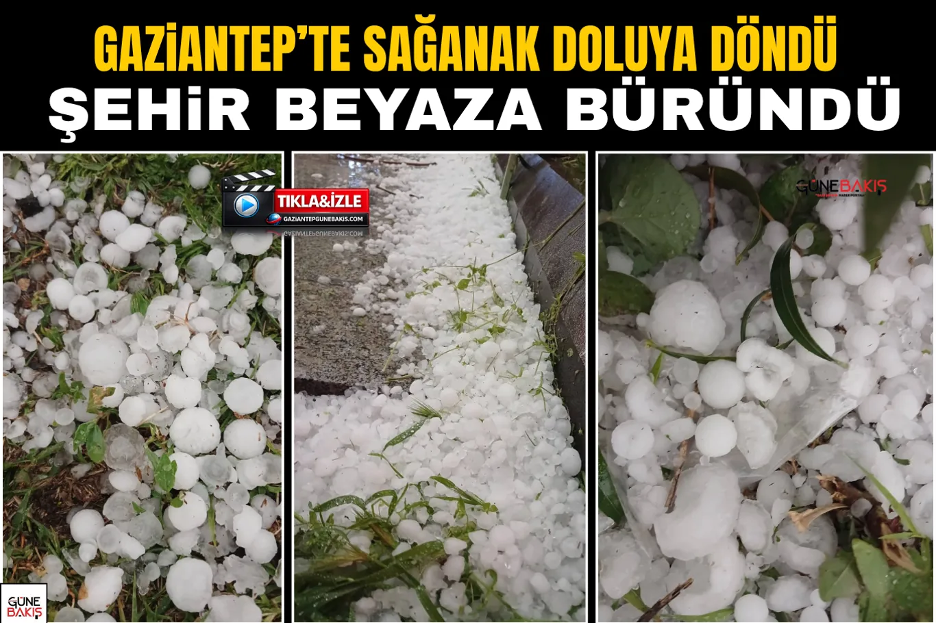 Gaziantep'te 33 kilogram skunk ele geçirildi: 1 tutuklama