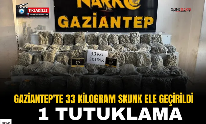 Gaziantep'te 33 kilogram skunk ele geçirildi: 1 tutuklama