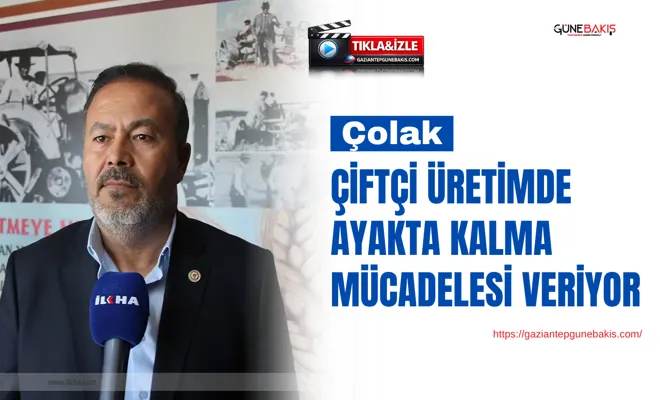 Çolak: Çiftçi üretimde ayakta kalma mücadelesi veriyor