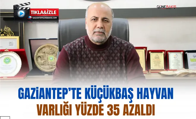 Gaziantep’te küçükbaş hayvan varlığı yüzde 35 azaldı