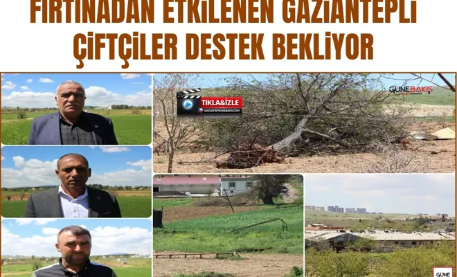 Fırtınadan etkilenen Gaziantepli çiftçiler destek bekliyor