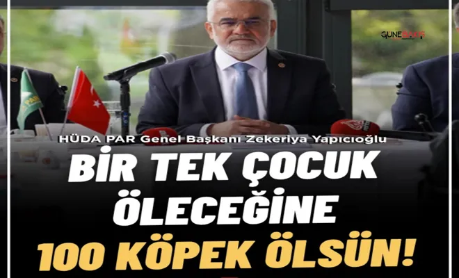 Bir tek çocuk öleceğine 100 köpek ölsün!