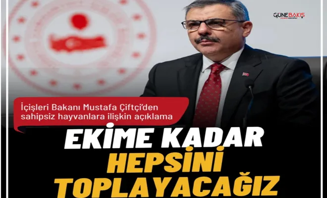 Bakan Çiftçi'den sahipsiz hayvanlara ilişkin açıklama: Ekim ayına kadar toplanacak
