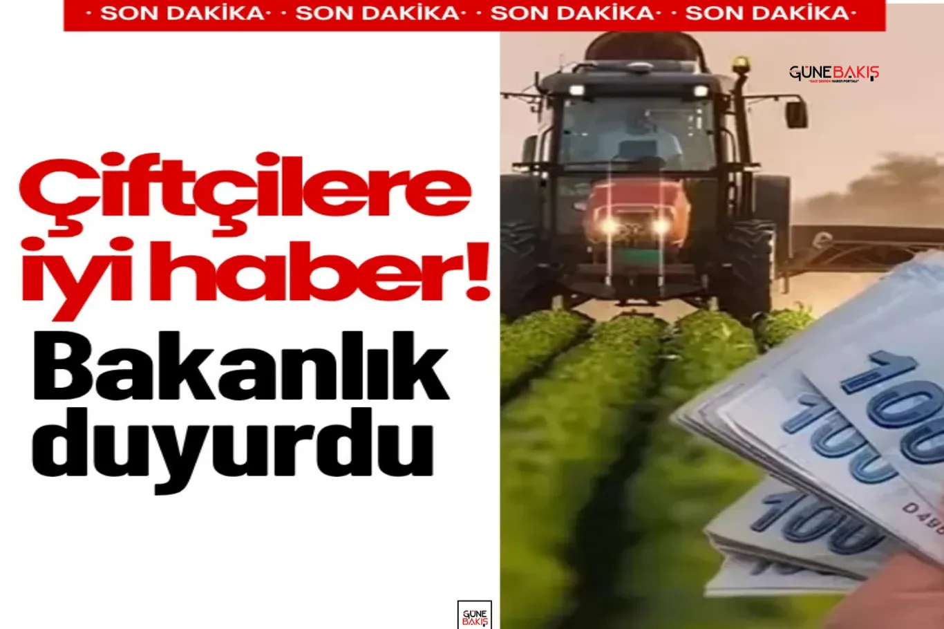 Gaziantep merkezli 7 ilde narkotik operasyonu: 21 gözaltı