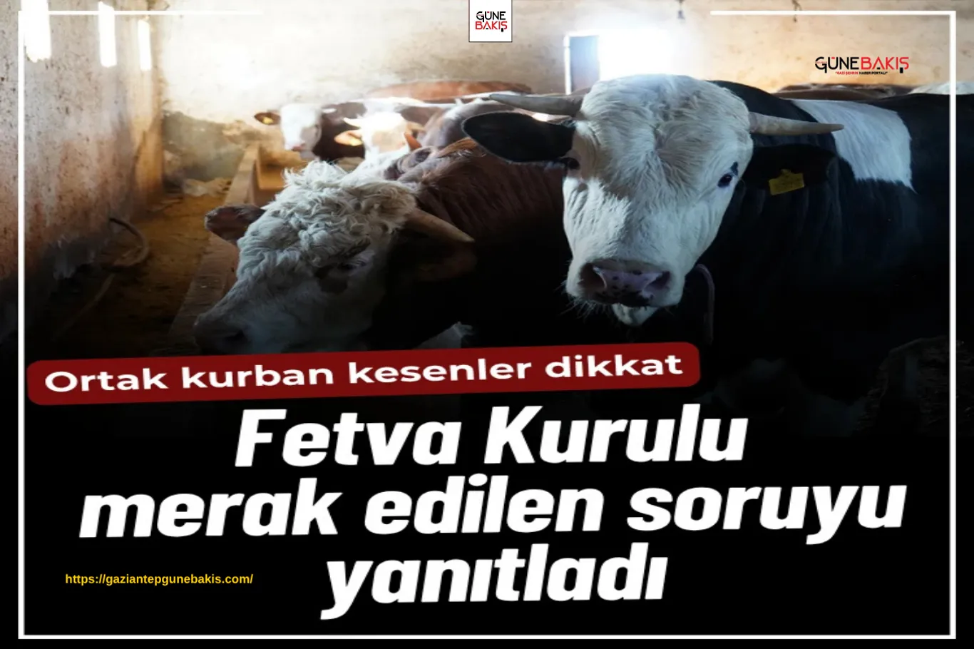 HÜDA PAR Lideri Yapıcıoğlu’ndan zam çağrısı: Temmuz ayı beklenmeden maaşlarda iyileştirme yapılmalı