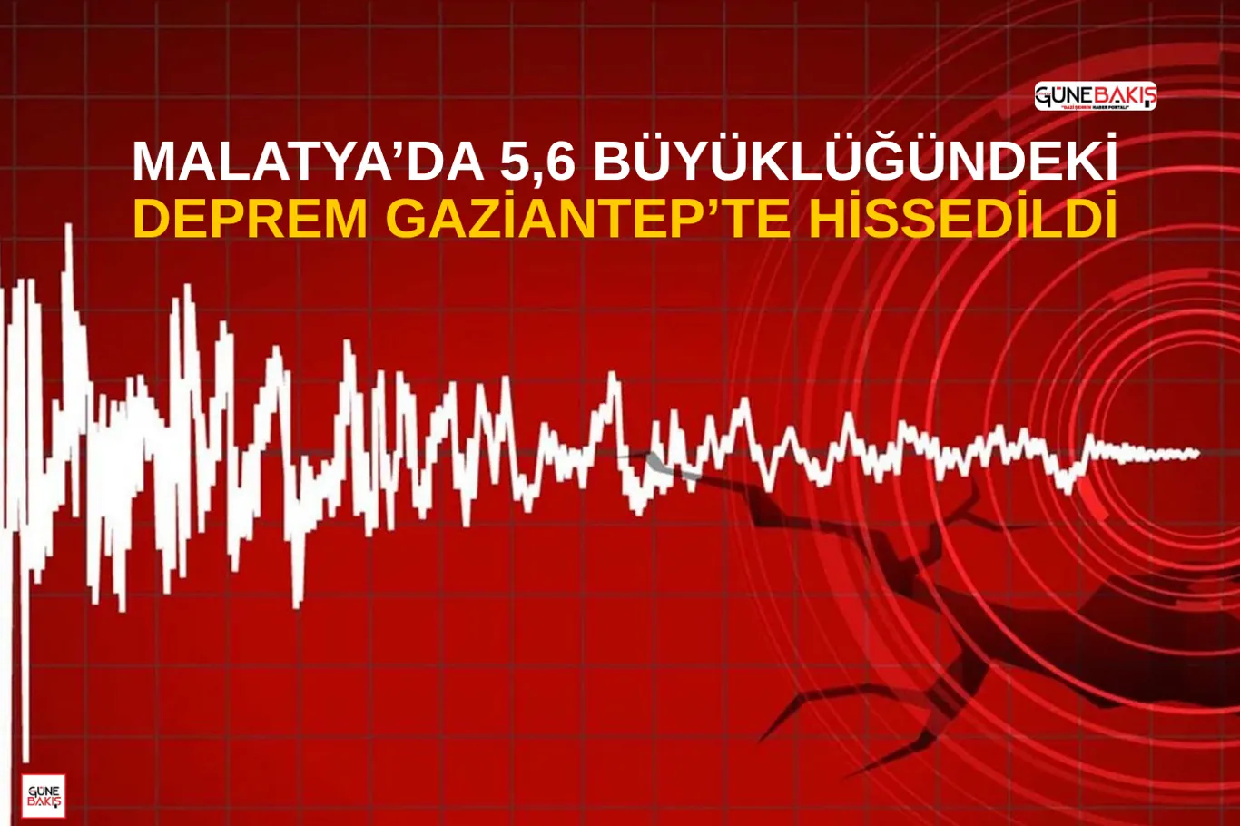 Şehitkamil’de kurbanlık fiyatları açıklandı